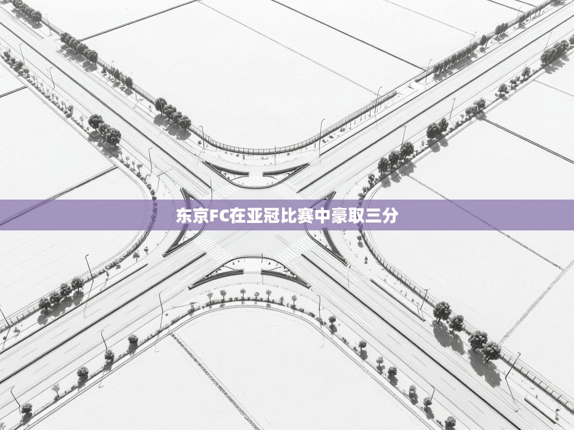 东京FC在亚冠比赛中豪取三分  第1张