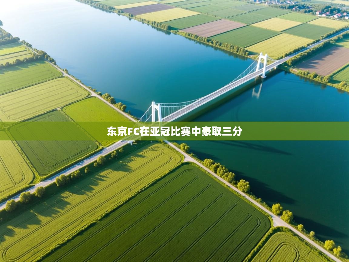 东京FC在亚冠比赛中豪取三分  第2张