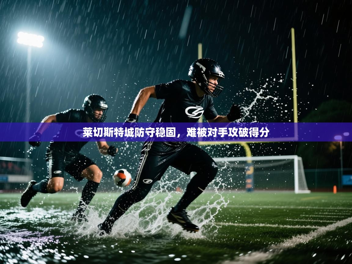 莱切斯特城防守稳固，难被对手攻破得分  第2张