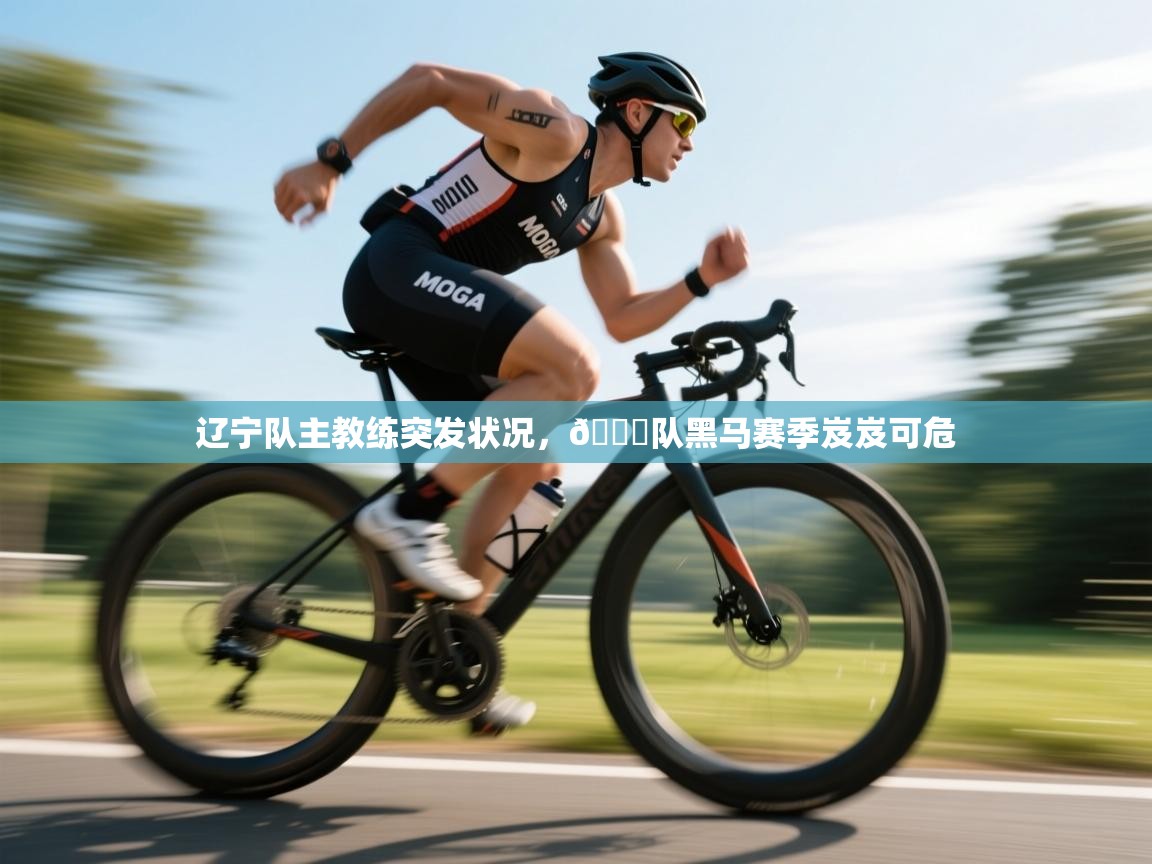 辽宁队主教练突发状况，🅞队黑马赛季岌岌可危  第2张