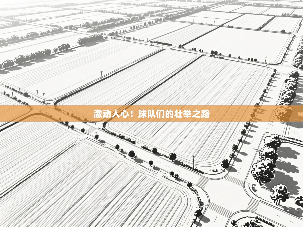 激动人心！球队们的壮举之路  第1张