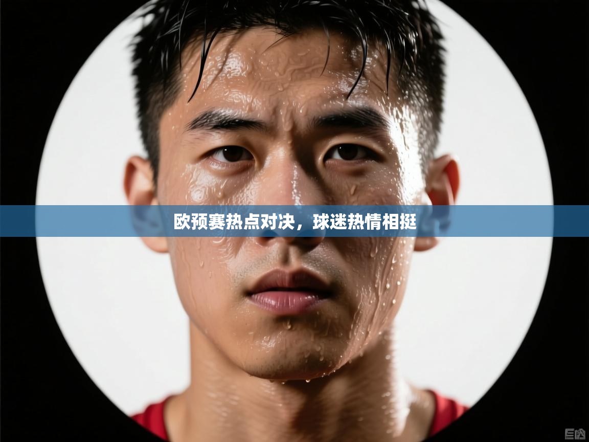 欧预赛热点对决，球迷热情相挺  第2张