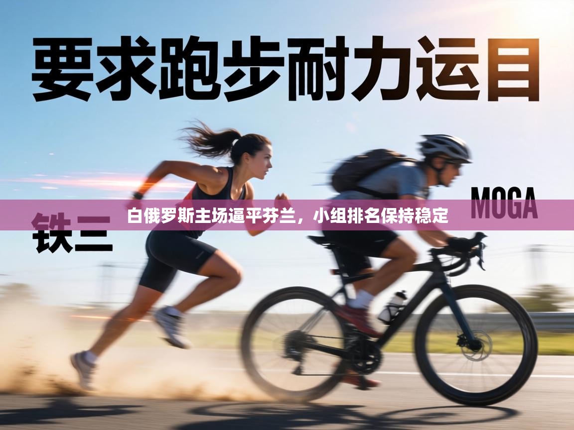 白俄罗斯主场逼平芬兰，小组排名保持稳定  第1张